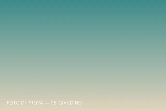 Il giardino a ulivi sul lato ovest